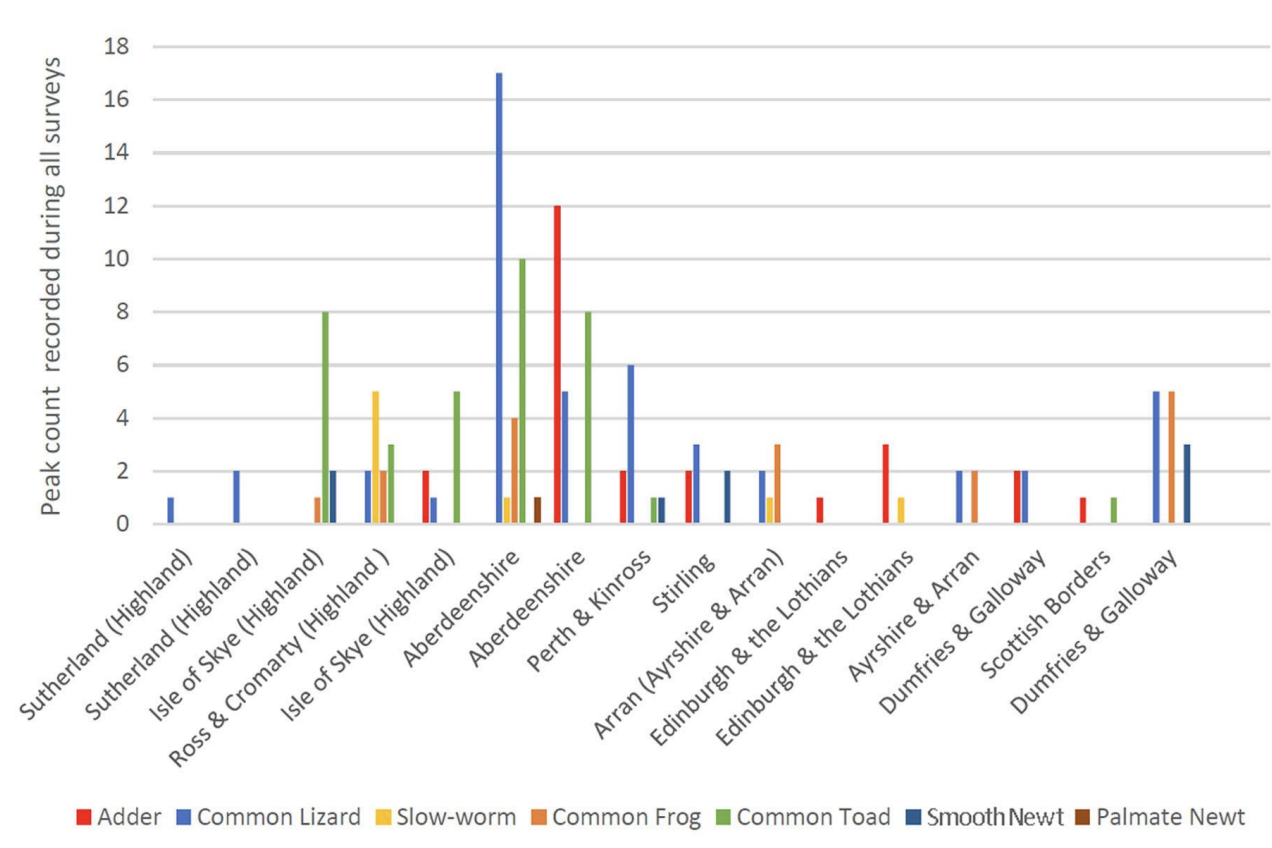 Peak counts for all amphibian and reptile species at the 16 Scottish National Adder survey sites during 2022-24
